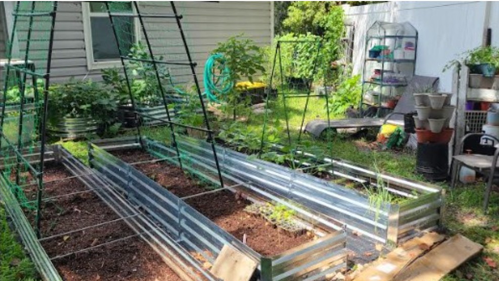 Growing vegetables zone 9a, in a small Florida garden